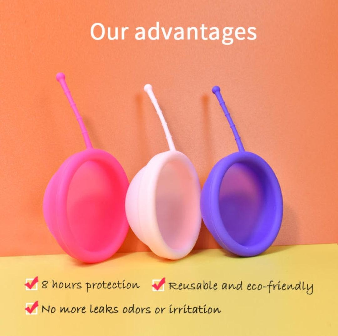 Perioddisc Furuize