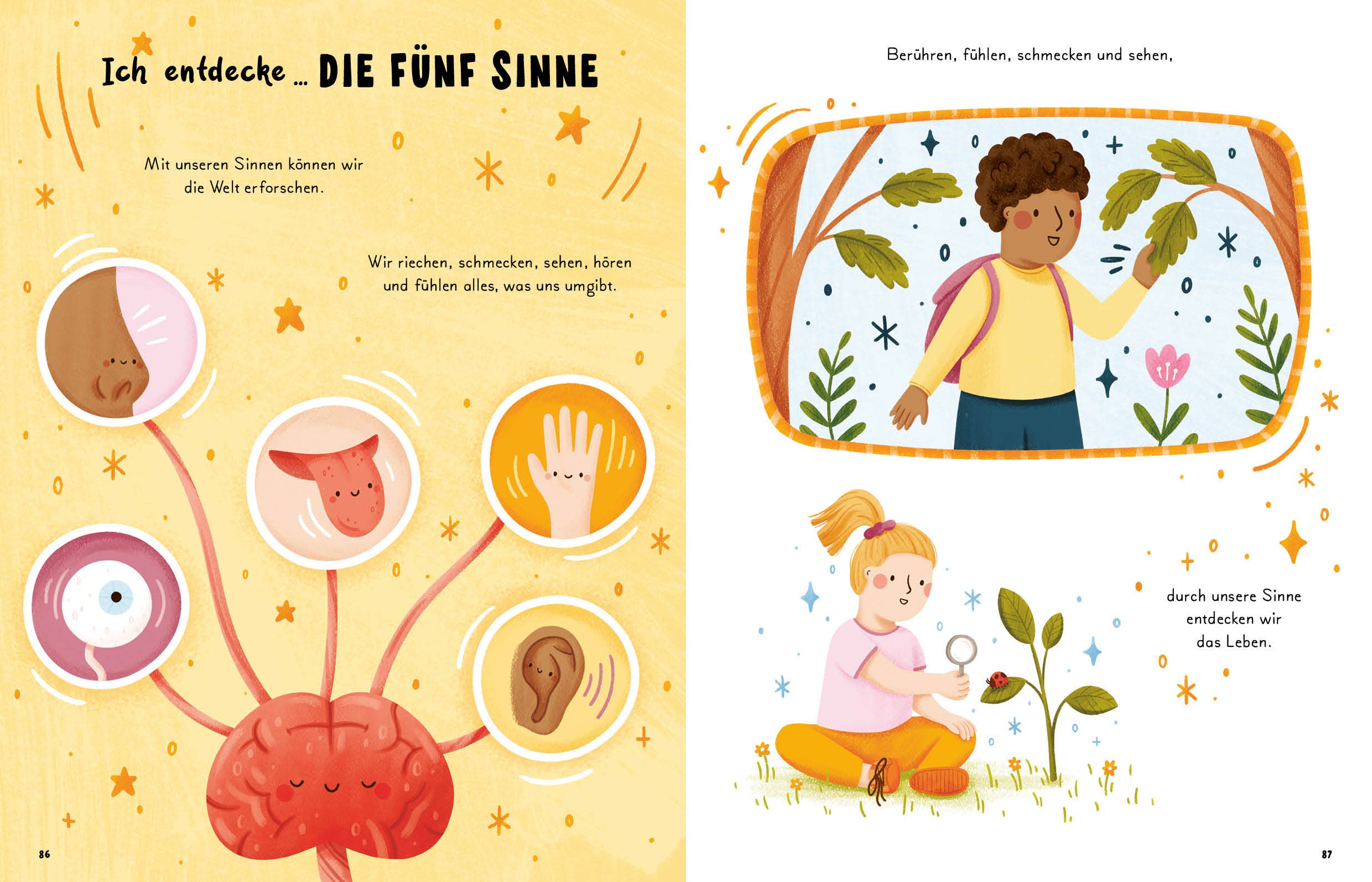 5 Minuten Geschichten – Mein Körper, ein Wunder - La Blutique EMF Verlag - Edition Michael FischerKinderbuch Berlin