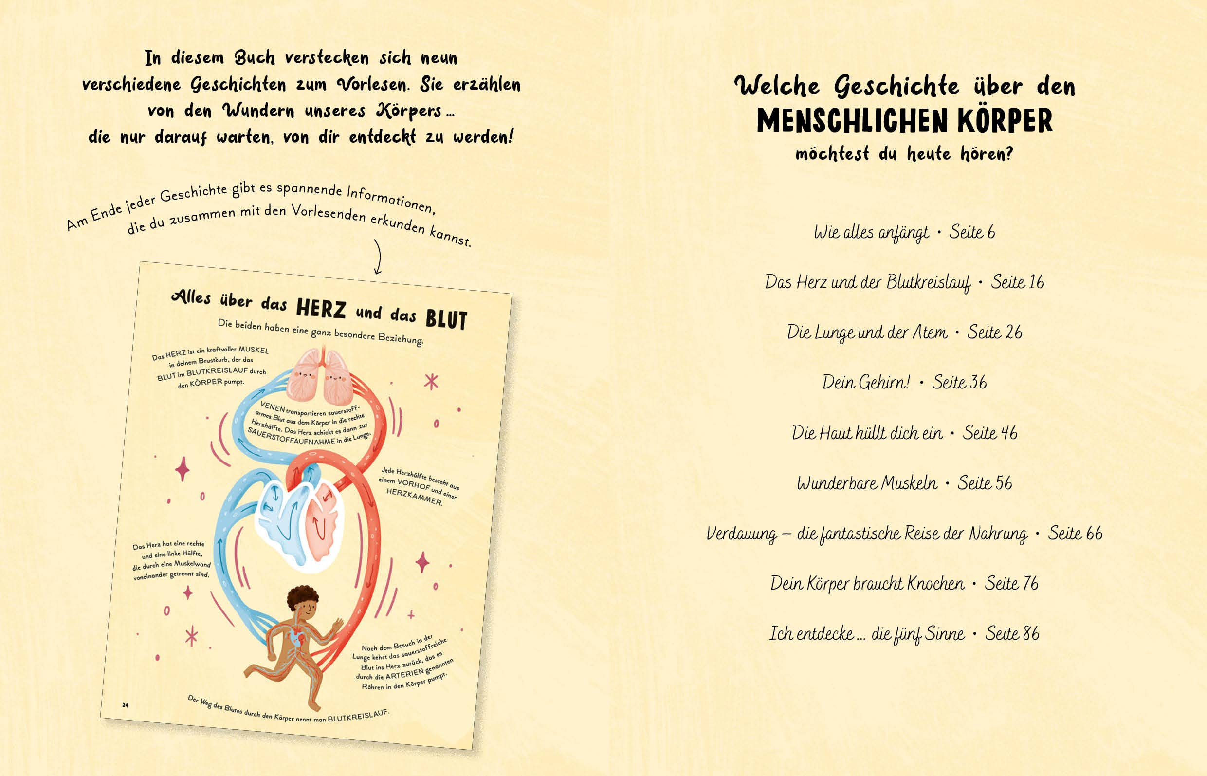 5 Minuten Geschichten – Mein Körper, ein Wunder - La Blutique EMF Verlag - Edition Michael FischerKinderbuch Berlin