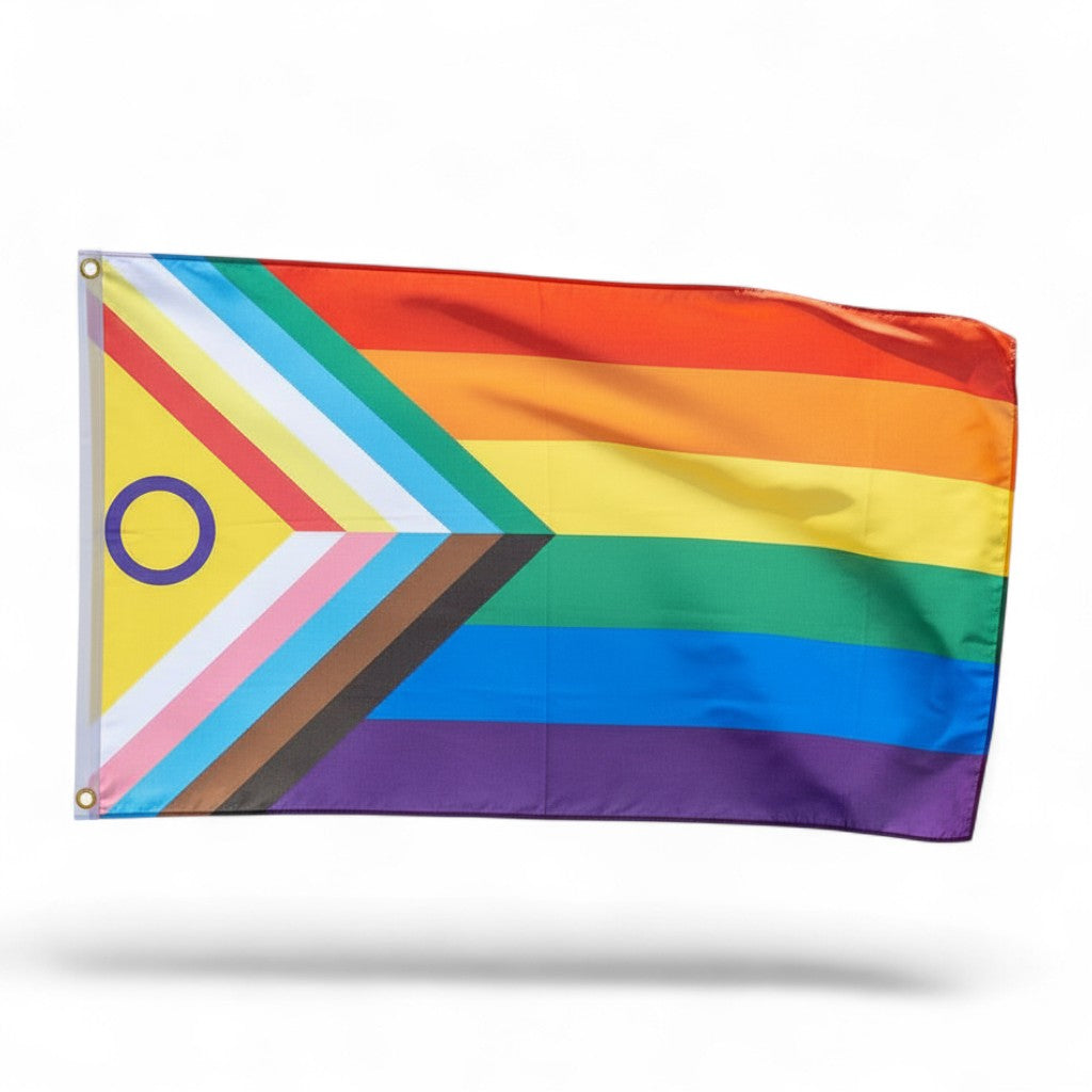 Disability Inclusive Progress Pride Flagge (90x150 cm)