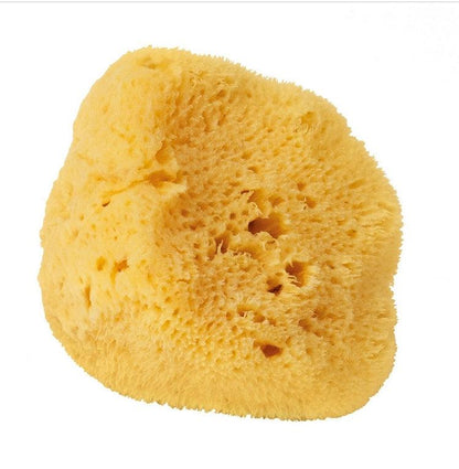 Levantine Period Sponges