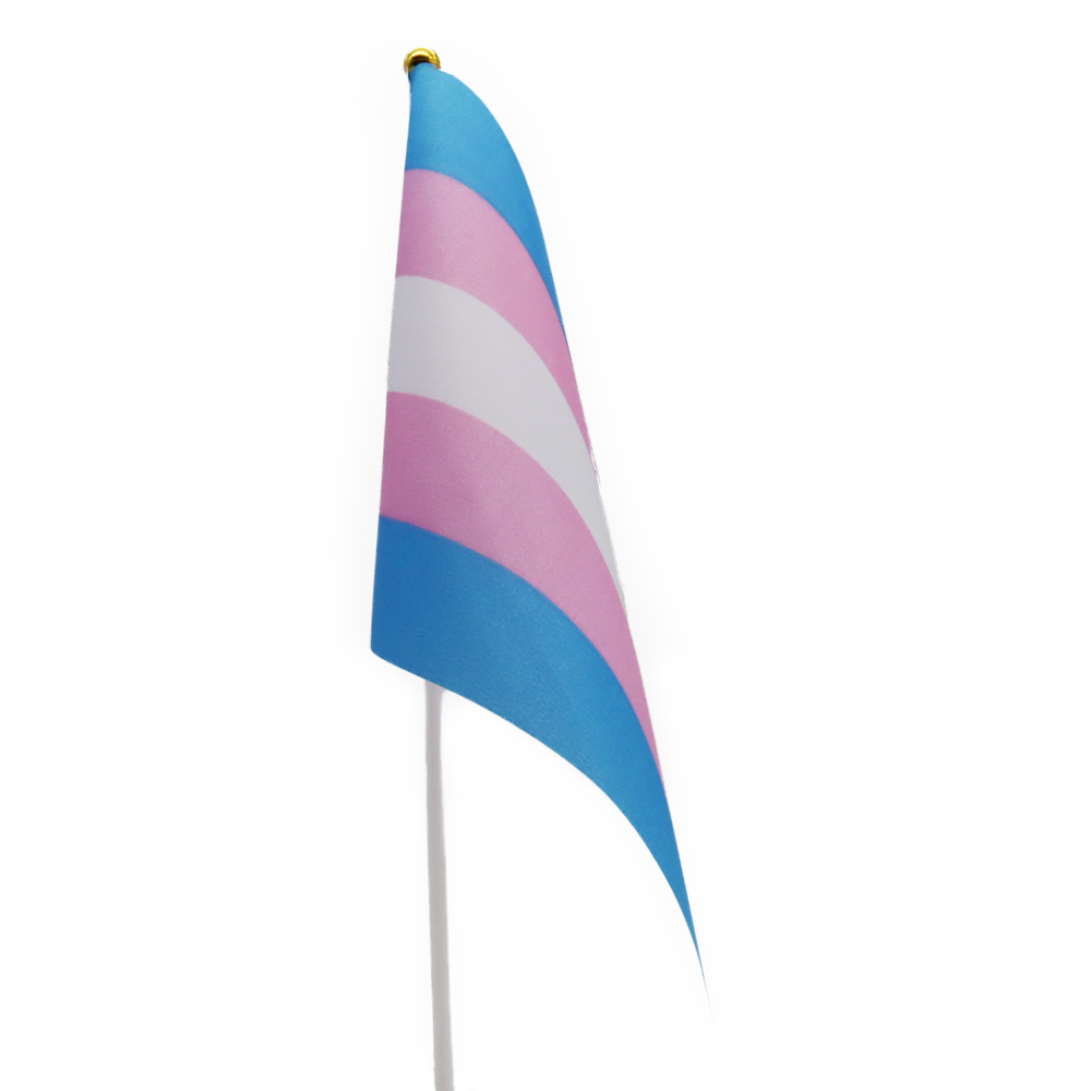 Pride Mini-Fähnchen (10 Stk.)