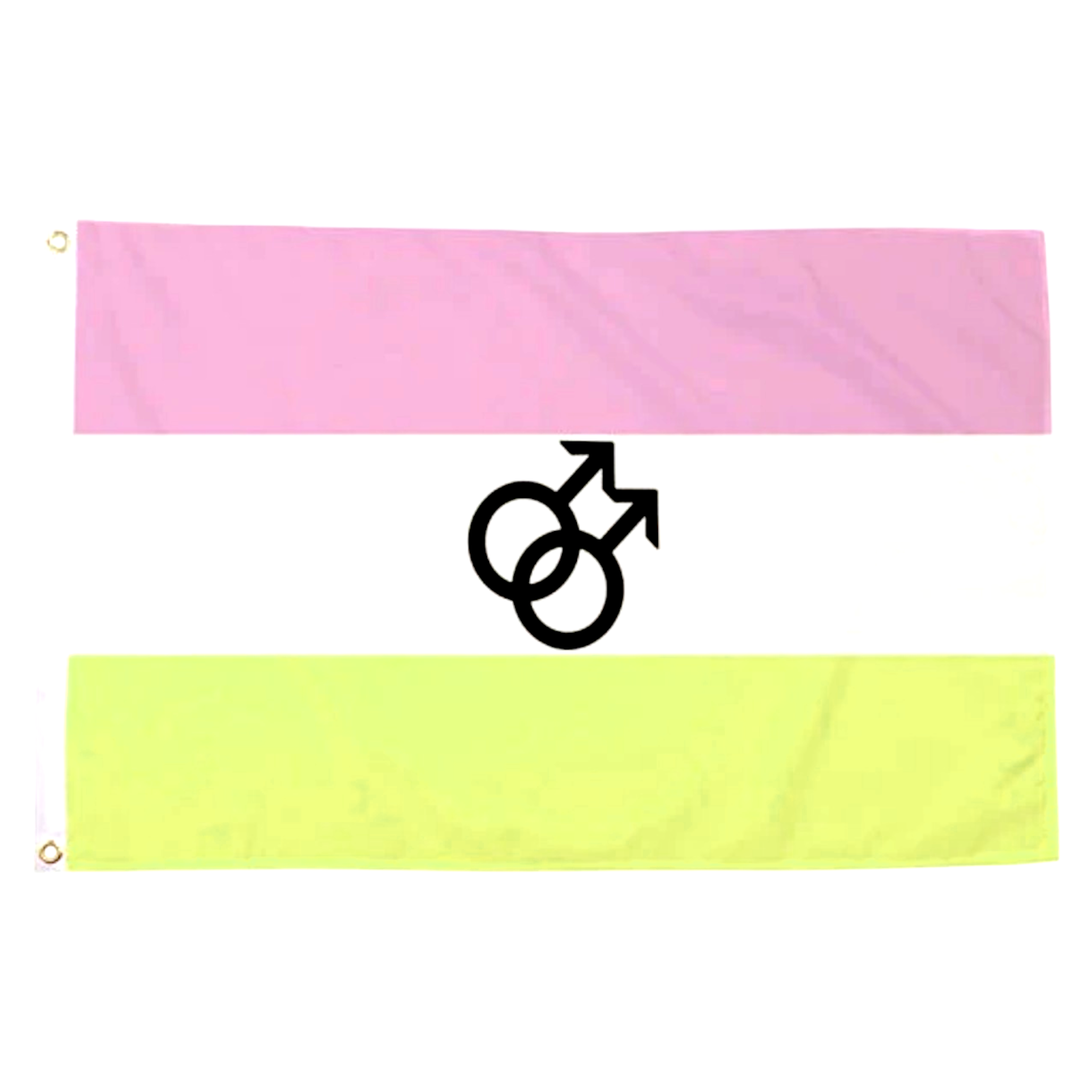 Twink Pride Flagge (90x150 cm)