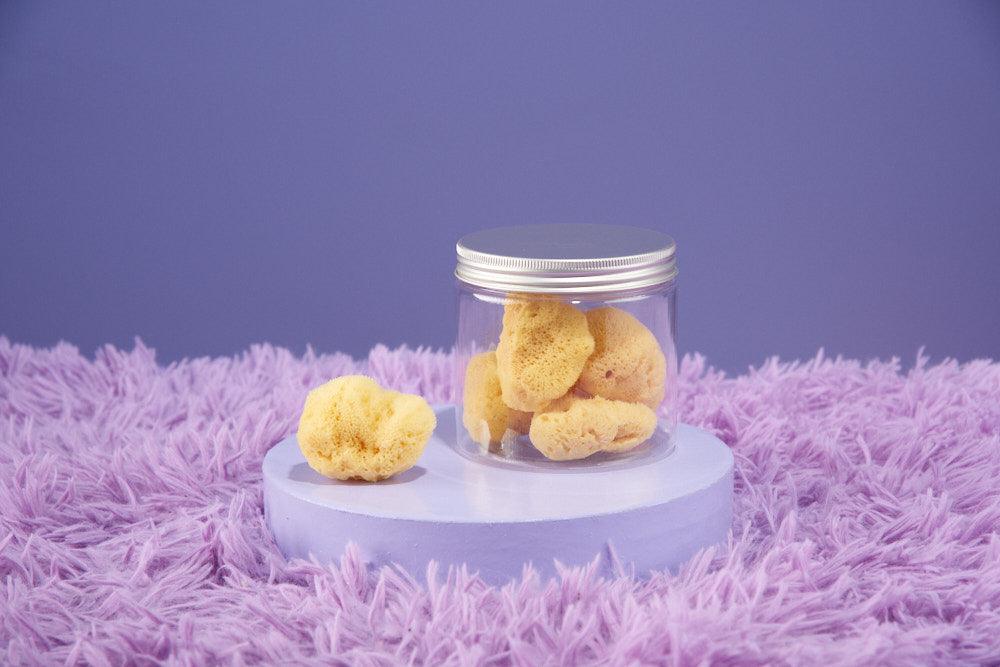 Levantiner Perioden Schwämme - La Blutique LevantinerSchwämme Berlin