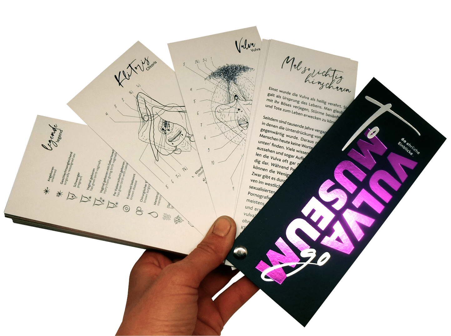 Vulva Museum - to go Vulvaversity - La Blutique VulvaversityBuch Berlin